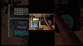 Koalasampler X Ableton Move X Sp404mk2 X Effectrix Jam [upl. by Josie]