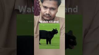 Reaction on this Ronaldo football 🏈 video 🥰 watch till end shorts krush sringatakacorporation [upl. by Desirae]