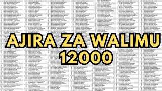 AJIRA MPYA ZA WALIMU 12000 AJIRA ZA WALIMU 2024AJIRA MPYA ZA WALIMU NA KADA YA AFYA 20242025 [upl. by Neelhtac]