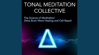 Hypothalamus and Suprachiasmatic Nucleus Scn Activation for Healing Circadian Rhythms and [upl. by Downe]