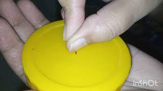 ASMR lice check asmr SATISFYING relaxingsound liceandnits asmrlicecheck asmrsounds [upl. by Theis]