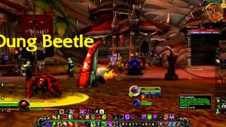 G91 Landshark World of warcraft  slow motion my battletag  gatedemon12589 [upl. by Aneehs]