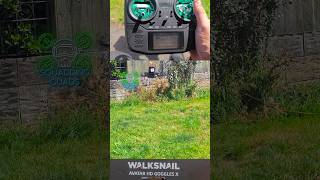 The Future of FPV Caddx Walksnail and Radiomaster [upl. by Adnoek186]