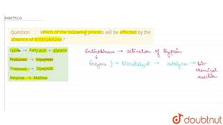 Which of the following process will be affected by the absence of enterokinase   12  HUMAN PH [upl. by Aivlys]