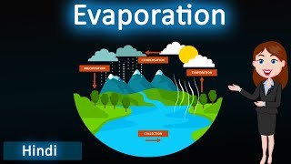 Evaporation  3D animated explanation  class 11th amp 9th science  physical nature of matter [upl. by Naux]