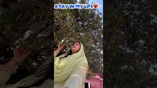 A Day In my Life✨♥️Exploring Sundernagar youtubeshorts minivlog trendingshorts adayinmylife [upl. by Eelibuj]