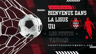 Tournoi Pillous  Le Puy Foot 43 vs Fc Vaulx en Velin  U11 GENERATION 2014 [upl. by Sherrod]