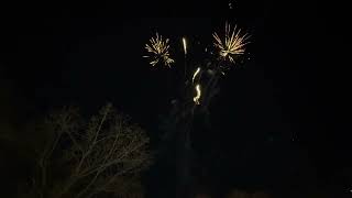 Howling Brocade to 7 Titanium Salute 49 Shot Firework [upl. by Aneehsirk238]