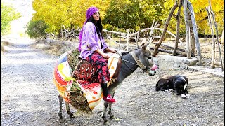 Village Life Iran Girls Incredible Donkey Riding amp Iranian Cooking [upl. by Lillian]