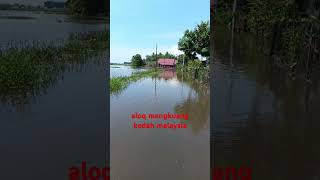 flood in malaysia [upl. by Leirbaj]