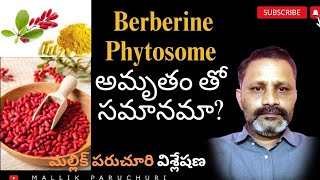 Berberine phytosome ఏయే సమస్యలకు పనిచేస్తుంది నిజంగా అంత అద్భుతమయిన మందు నా [upl. by Aihsemek]