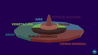 1 Las piezas de los ecosistemas [upl. by Eenat]