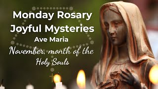 Virtual Rosary Monday  Joyful Mysteries  Pray the Rosary for the Holy Souls with Ave Maria [upl. by Mayap]