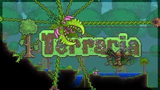 Фарм и Легкая Плантера  Terraria за стрелка 3 [upl. by Suivatal728]