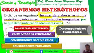 Organismos Heterótrofos y los Saprófagos Detritívoros y Descomponedores [upl. by Portugal]