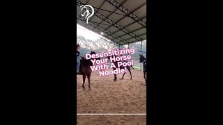 Quick Tips On Desensitizing Your Horse With A Pool Noodle  The Horse GuruMichael Gascon [upl. by Nylatsirk286]