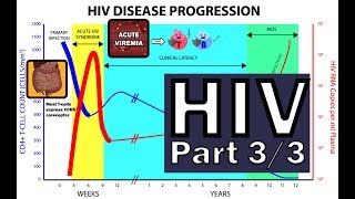 HIV Pathophysiology 33  Disease Progression [upl. by Sax]