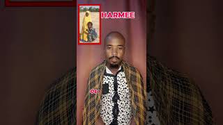 Harmee Calanqoo Sulee Oromp3 MohaOromo OromiaMedia [upl. by Shari]