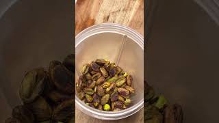 How To Make chunky Pistachio PasteSpread shorts shortsvideo pistachio viral spread howto [upl. by Eneg]