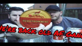 Fermented Fish challenge Surströmming smellyFish Fishchallange fermentedfish [upl. by Meid841]