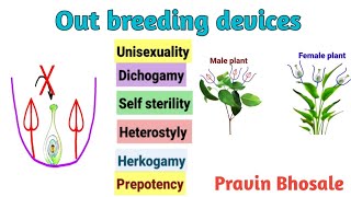 Outbreeding Devices in Hindi  Reproduction in lower and higher plants [upl. by Haet]