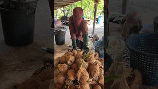 Edible Dried Coconut  Fruit Cutting Skills [upl. by Lein627]