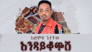 Alemye Getachew  Endaykochesh  እንዳይቆጭሽ  New Ethiopian Music 2024 Official Video [upl. by Stiegler]