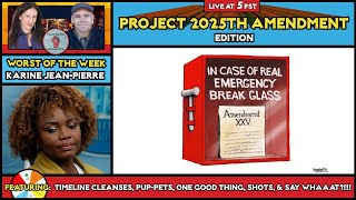 Project 2025th Amendment Edition [upl. by Maclay]