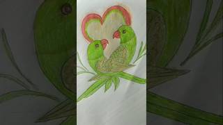 How to draw love Parrot Drawing for beginner ytshorts ternding birds viralvideoffviral [upl. by Aivekahs168]