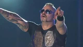 Sabaton  Primo Victoria Live at Woodstock Festival 2012 [upl. by Bar]