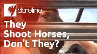 Americas unwanted horses being purchased for slaughter [upl. by Nonnel]