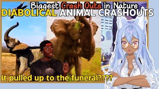 Vtuber Finds Out The Consequences Of Messing With Animals  Channie Reacts to Casual Geographic [upl. by Ymer]