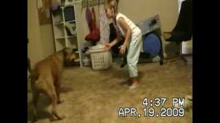 Girl gets knocked down by dog [upl. by Ennoid985]