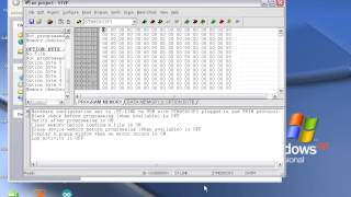 program stm8 based boards [upl. by Florence]