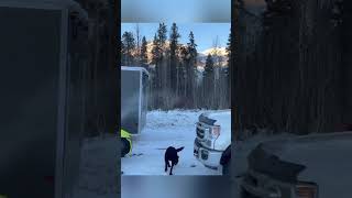 How to NOT Load Your Snowmobile😲shorts fail [upl. by Vincenz284]