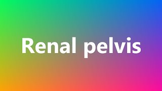 Renal pelvis  Medical Definition and Pronunciation [upl. by Navannod]