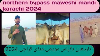 Maweshi Mandi in northern bypass karachi 😀😍💕💕 [upl. by Aitan]