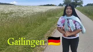 Gailingen Germanyvlog myswitzerland wineyard highlights mountains travel [upl. by Adnael]