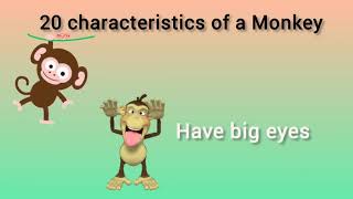 Characteristics of a monkey [upl. by Yellhsa]