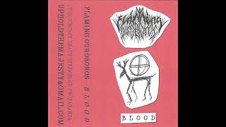 Flaming Ouroboros US  Blood Demo 2023 [upl. by Eicrad]