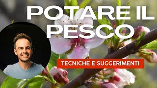 Potatura del Pesco Tecniche e Segreti per la potatura di Pesco Nettarine Percoche e Saturnina [upl. by Greyso]