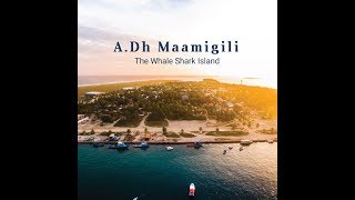 A Dh Maamigili  The Whale Shark island [upl. by Adieren77]