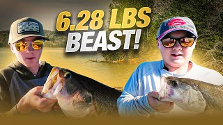 Chickamauga Lake Bass Fishing Largemouth amp Spotted Bass Catches [upl. by Roze30]