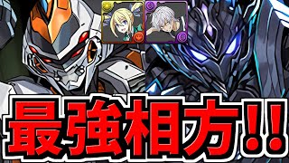 【最強相方】ロボえぐ強化！デイトナとブラックバードが各々アンジェリーナとアクセラレータの最強相方に！性能解説【パズドラ】 [upl. by Bergren]