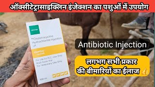 Oxytetracycline Injection ऑक्सीटेटरासाइक्लिन इंजेक्शन का पशु चिकित्सा में उपयोग  Veterinary uses [upl. by Etep]