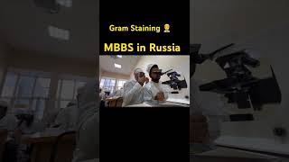 Gram StainingMbbs in Russia👨‍⚕️♥️ mbbsinrussia medicalcollege [upl. by Carpet]