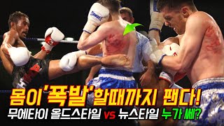 몸이 폭발할때까지 패는 전적 500전 낙무아이와 영국 낙무아이 대결 [upl. by Red]