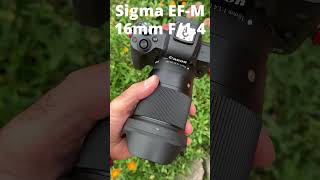 Sigma EFM 16mm F14 Prime Lens on Canon EOS M50 Mark II shorts [upl. by Valsimot357]