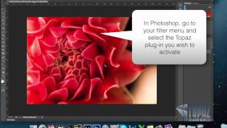 How to enter your license key into Topaz Labs [upl. by Amador326]