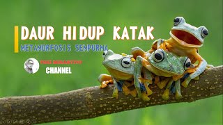 DAUR HIDUP KATAK  METAMORFOSIS SEMPURNA  KELAS 3 TEMA 1 SUB TEMA 3 [upl. by Llerrem]